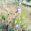 photo thumbnail #13