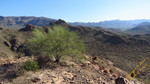 photo thumbnail #12