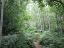 photo thumbnail #4