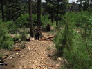photo thumbnail #8