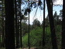 photo thumbnail #9