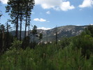 photo thumbnail #12