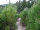 photo thumbnail #13