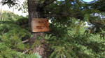 photo thumbnail #10