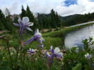 photo thumbnail #6
