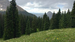 photo thumbnail #15