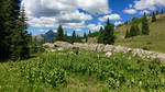 photo thumbnail #6