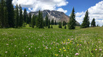photo thumbnail #8