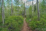 photo thumbnail #5