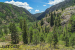 photo thumbnail #3