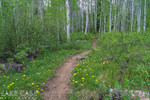 photo thumbnail #6