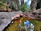 photo thumbnail #1