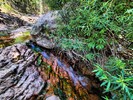 photo thumbnail #3