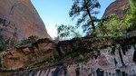 photo thumbnail #14