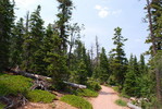 photo thumbnail #3