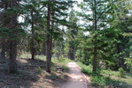 photo thumbnail #7