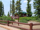 photo thumbnail #6