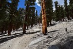 photo thumbnail #7