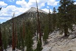 photo thumbnail #8