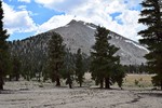 photo thumbnail #11