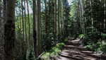 photo thumbnail #7