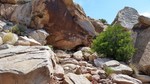 photo thumbnail #12