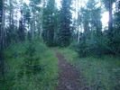 photo thumbnail #1