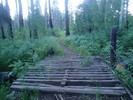 photo thumbnail #2