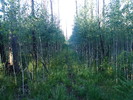photo thumbnail #6