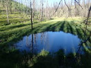 photo thumbnail #8