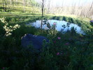 photo thumbnail #9