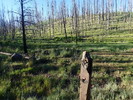 photo thumbnail #10