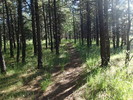 photo thumbnail #13