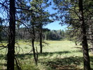 photo thumbnail #14