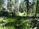 photo thumbnail #15
