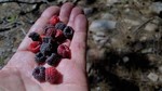photo thumbnail #3