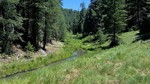 photo thumbnail #8