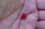 photo thumbnail #13