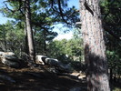 photo thumbnail #9