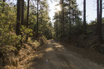 photo thumbnail #6