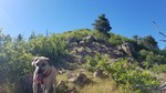 photo thumbnail #1