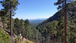 photo thumbnail #6
