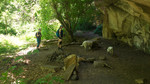 photo thumbnail #11