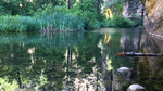 photo thumbnail #14