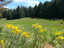 photo thumbnail #1