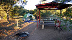 photo thumbnail #1