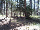 photo thumbnail #2
