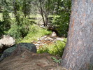 photo thumbnail #5