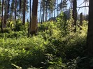 photo thumbnail #3