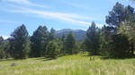photo thumbnail #11